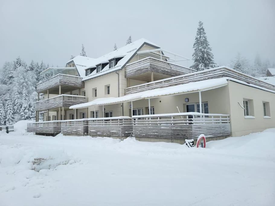 Appartement Chaleureux Au Pied Des Pistes Orbey Esterno foto