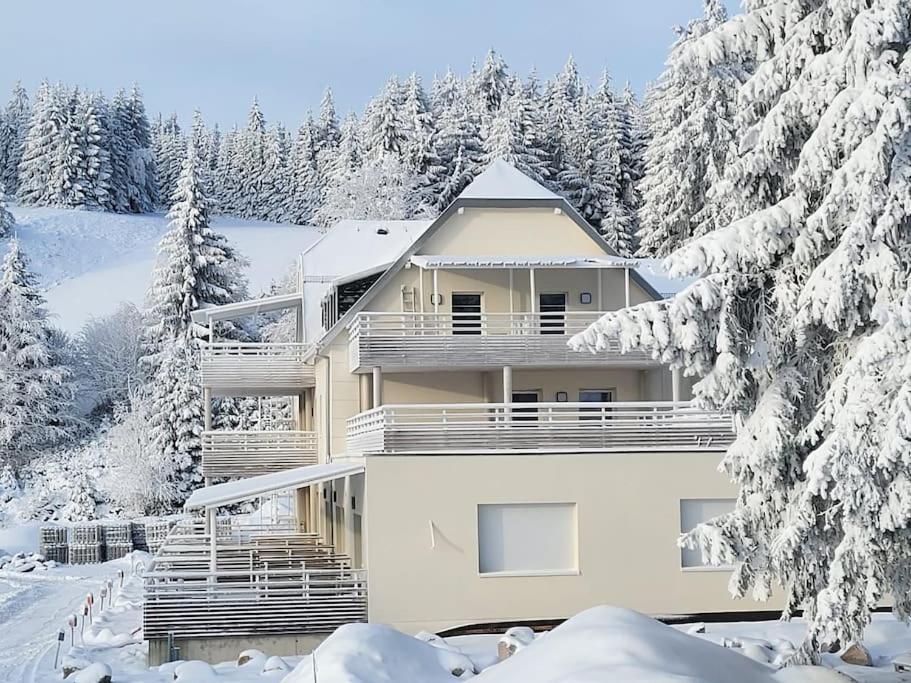 Appartement Chaleureux Au Pied Des Pistes Orbey Esterno foto